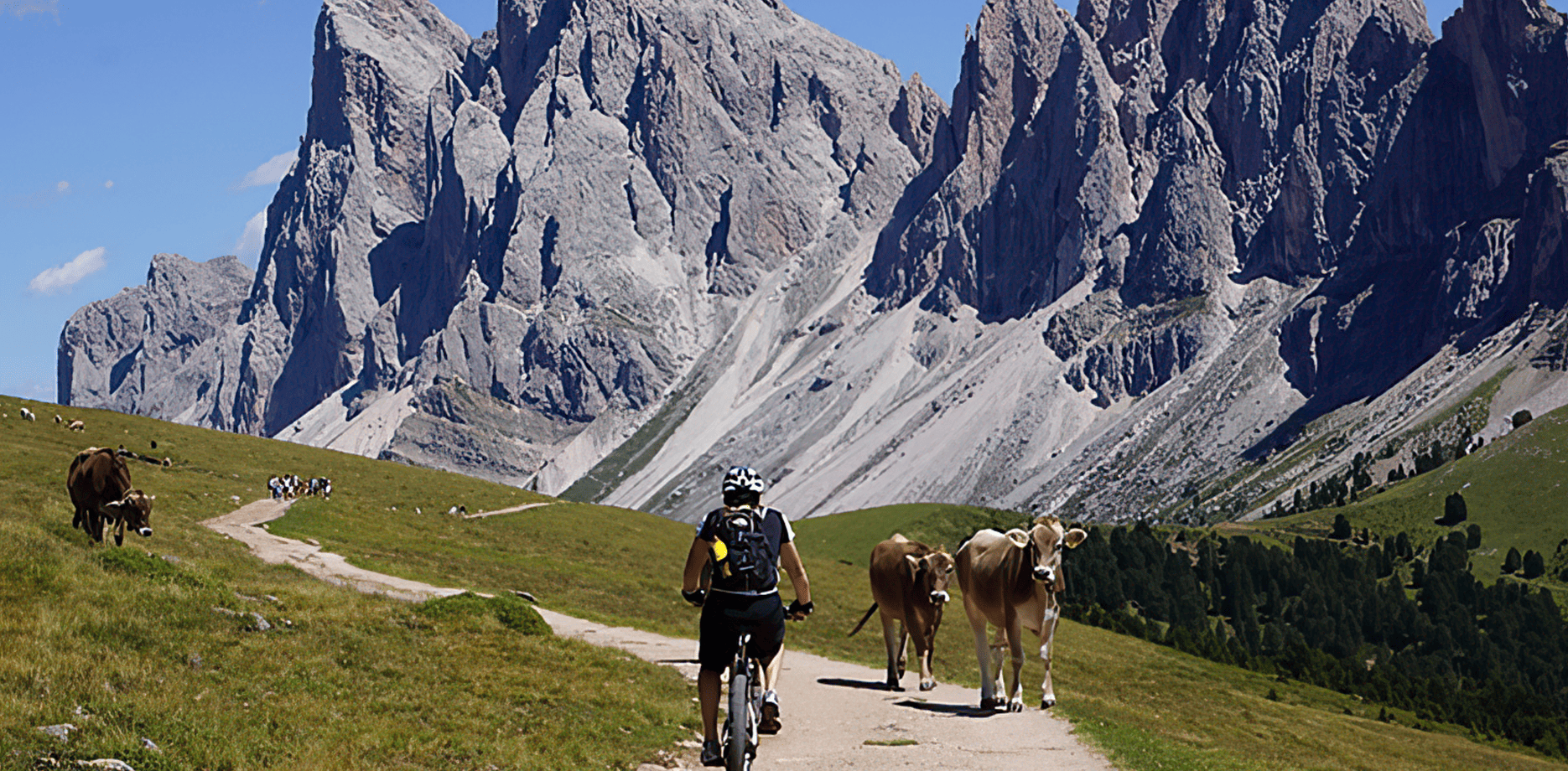 Val Gardena: Selva, Ortisei, Castelrotto e Alpe di Siusi